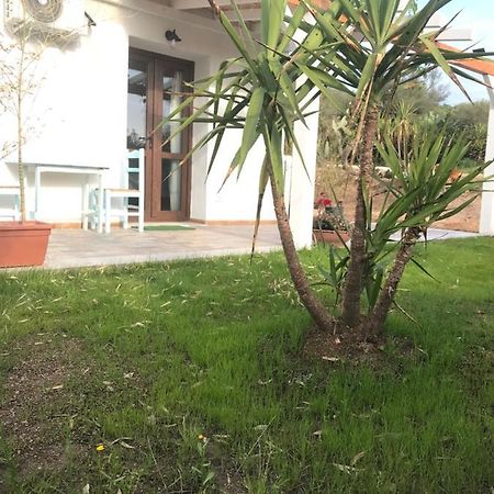 La Fragola In Campagna 6 K M Da San Pantaleo Hotell Eksteriør bilde