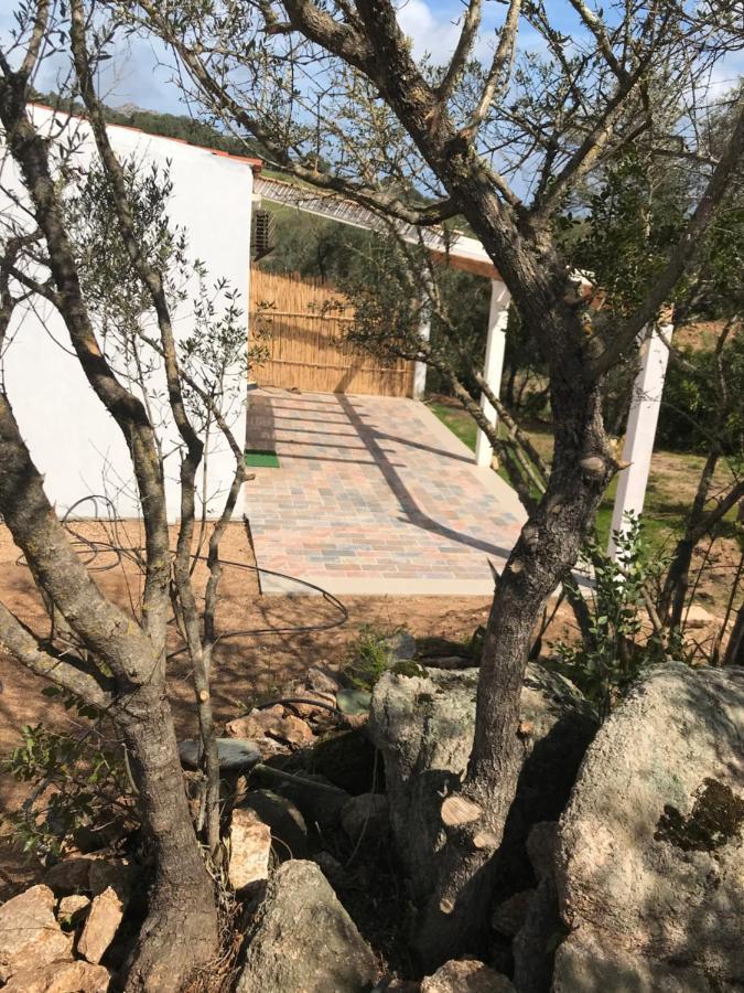 La Fragola In Campagna 6 K M Da San Pantaleo Hotell Eksteriør bilde