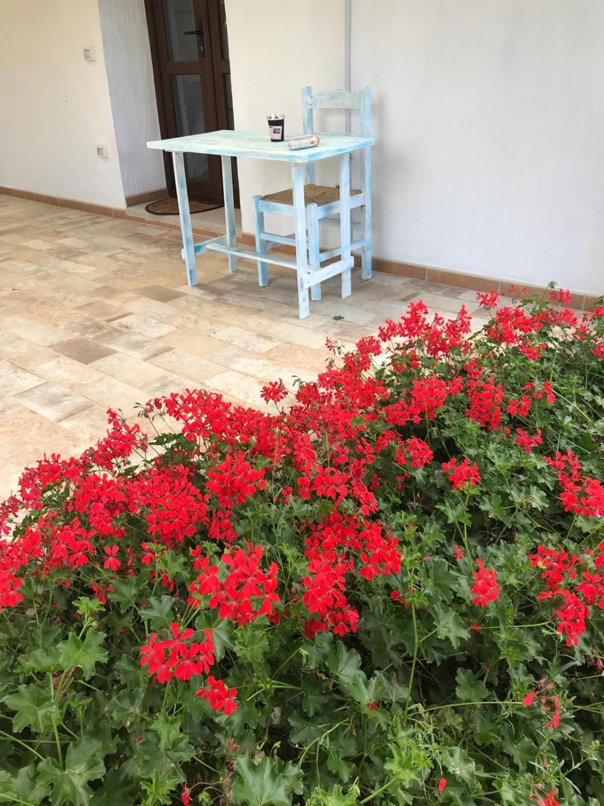 La Fragola In Campagna 6 K M Da San Pantaleo Hotell Eksteriør bilde