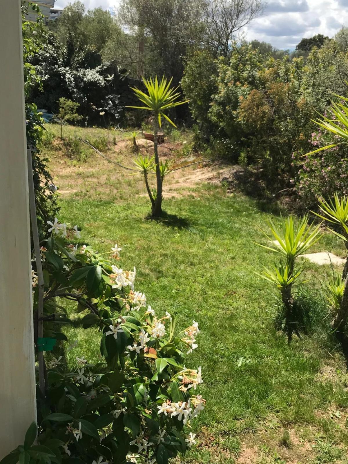 La Fragola In Campagna 6 K M Da San Pantaleo Hotell Eksteriør bilde