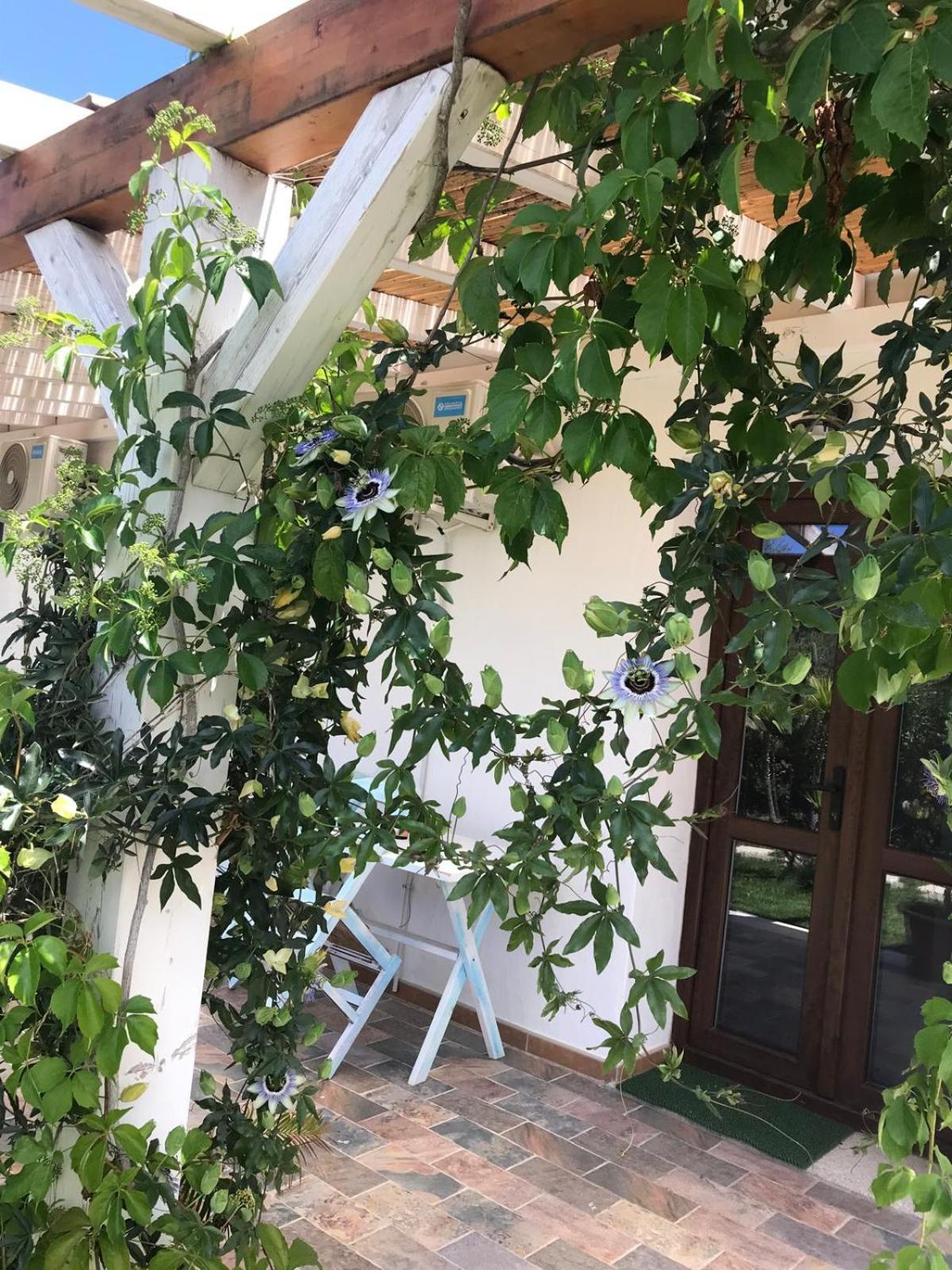 La Fragola In Campagna 6 K M Da San Pantaleo Hotell Eksteriør bilde
