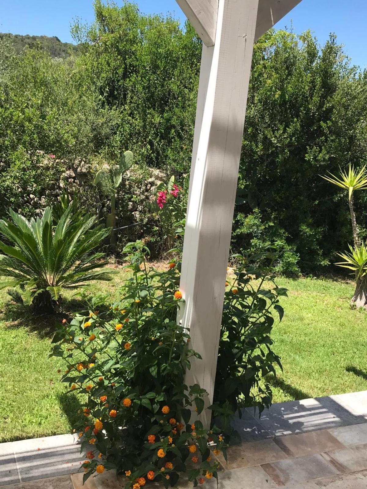 La Fragola In Campagna 6 K M Da San Pantaleo Hotell Eksteriør bilde