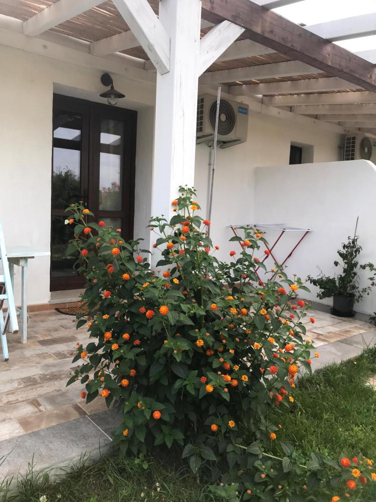 La Fragola In Campagna 6 K M Da San Pantaleo Hotell Eksteriør bilde