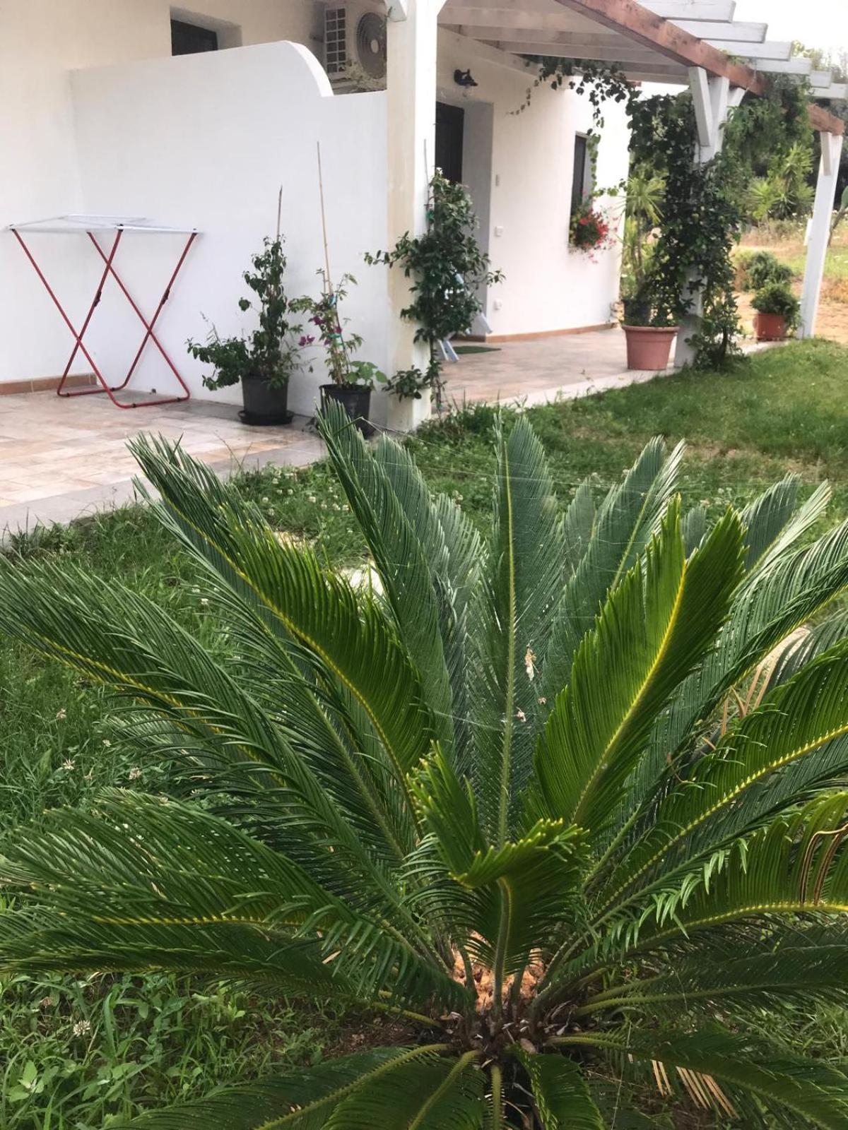La Fragola In Campagna 6 K M Da San Pantaleo Hotell Eksteriør bilde